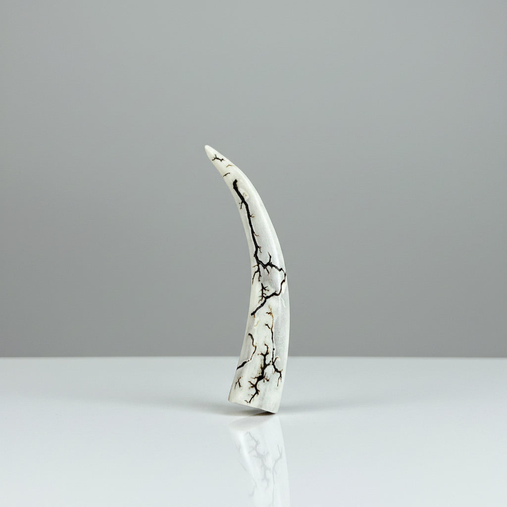 Natural deer antler comfort tine polished and decorated with strikes on a gray background
