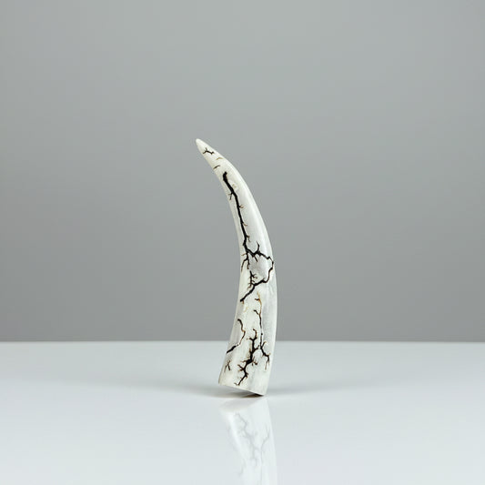 Natural deer antler comfort tine polished and decorated with strikes on a gray background