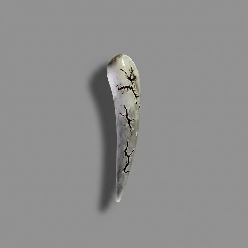 Other side of the polished deer antler on a gray background
