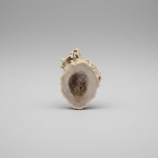 Aroma diffuser antler piece on a gray background