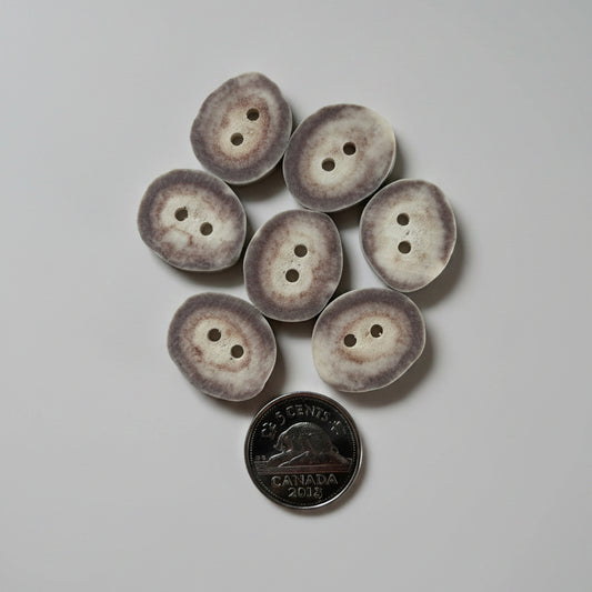 7 Deer antler buttons on a gray background