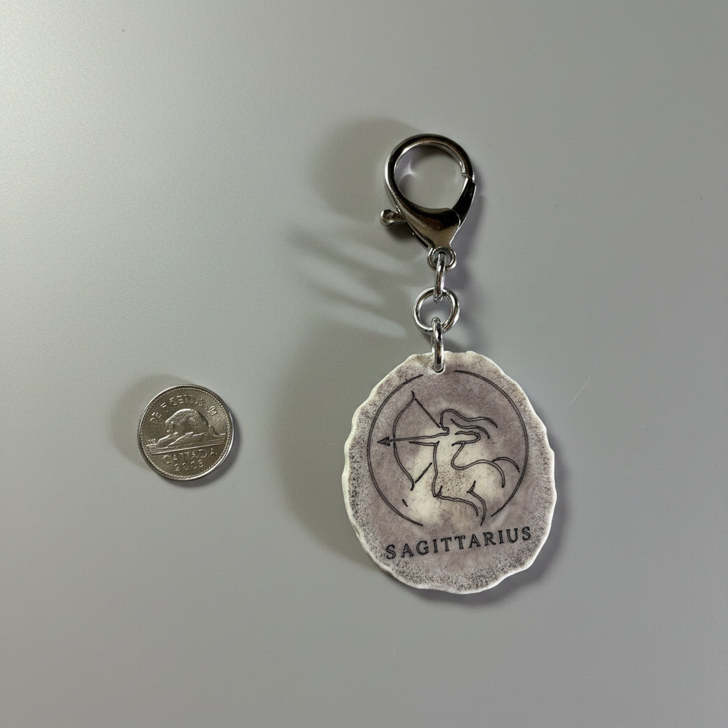 Other side of moose antler zodiac sign on a gray background