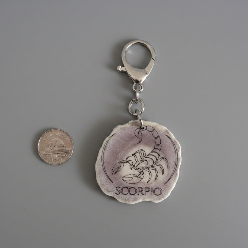 Other side of a moose antler zodiac sign on a gray background