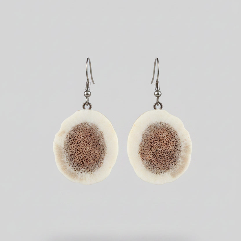 Natural deer antler earrings on a gray background