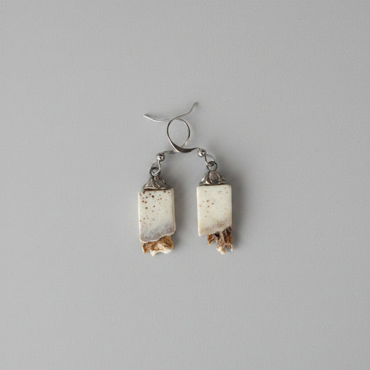 Elk earrings on a gray background