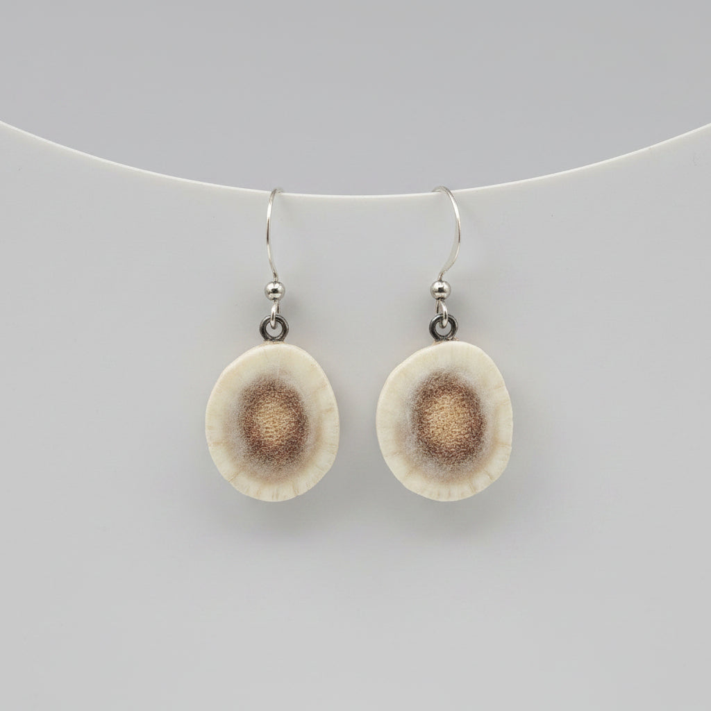 Natural deer antler earrings on a gray background